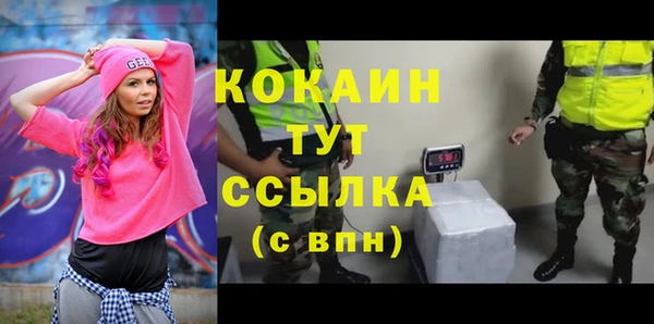 прущий лед Горно-Алтайск