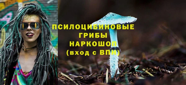 прущий лед Горно-Алтайск