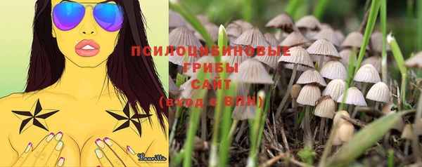 экстази Горнозаводск
