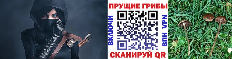 omg ссылки  Дзержинский  Псилоцибиновые грибы прущие грибы  где можно купить наркотик 