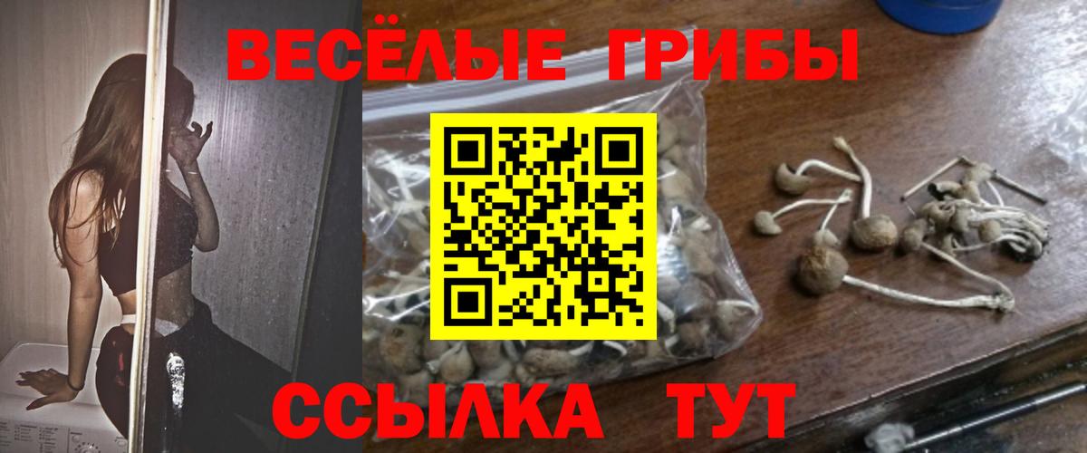Дзержинский  Галлюциногенные грибы мухоморы  Вход с VPN 