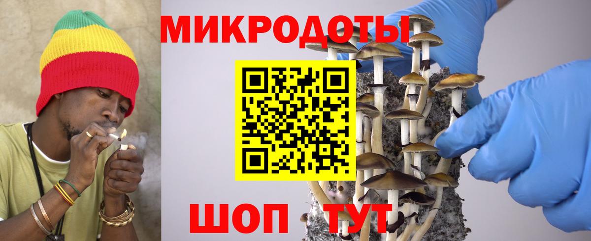 Галлюциногенные грибы Magic Shrooms  Псилоцибиновые грибы прущие грибы  Дзержинский 