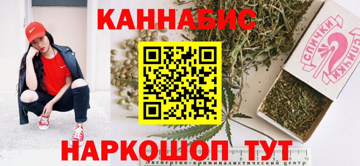 Бошки Шишки планчик Дзержинский
